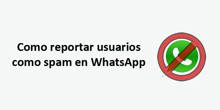 reportar usuarios o grupos como spam en whatsapp