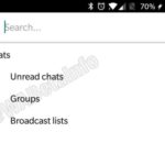 filtro-chats-whatsapp-business-WAbetainfo